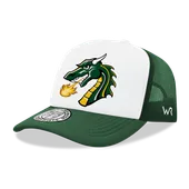 W Republic Tiffin Dragons Jumbo College Caps 1030-678