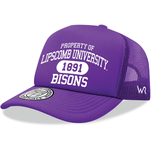 W Republic Property Of Lipscomb Bisons Baseball Cap 1027-328