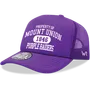 W Republic Property Of Mount Union Purple Raiders Baseball Cap 1027-348