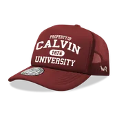 W Republic Property Of Calvin University Knights Baseball Cap 1027-507