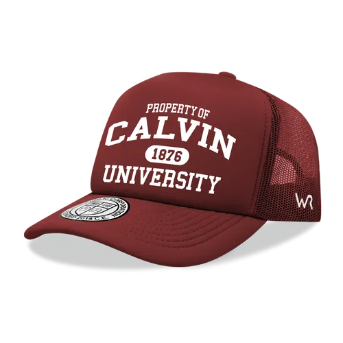 W Republic Property Of Calvin University Knights Baseball Cap 1027-507