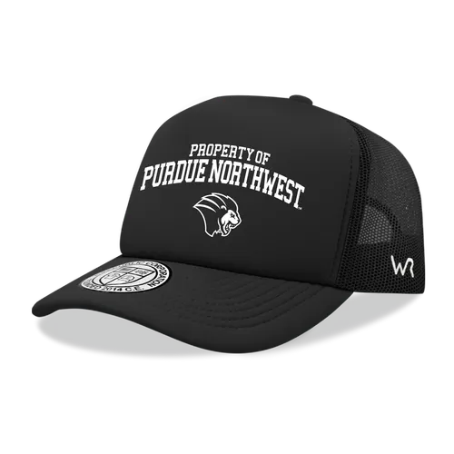 W Republic Property Of Purdue Northwest Lion Baseball Cap 1027-572