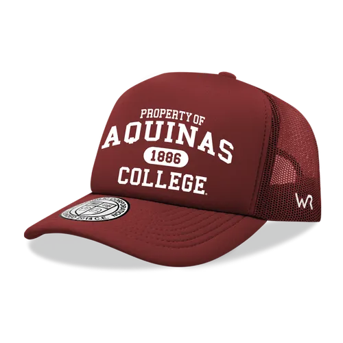 W Republic Property Of Aquinas Saints Baseball Cap 1027-611