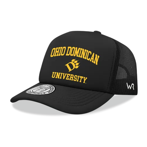 W Republic Ohio Dominican Panthers Hat 1043-563