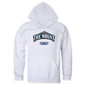 W Republic Mount Saint Mary's Mountaineers Family Hoodie 573-347