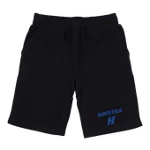 W Republic Hofstra The Pride Shorts 570-312