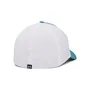 Under Armour Men's Iso-Chill Driver Mesh Cap 1369804